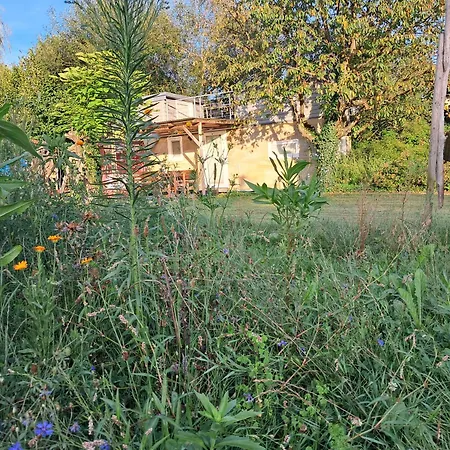 Tiny House Schwarzwald Rheinau